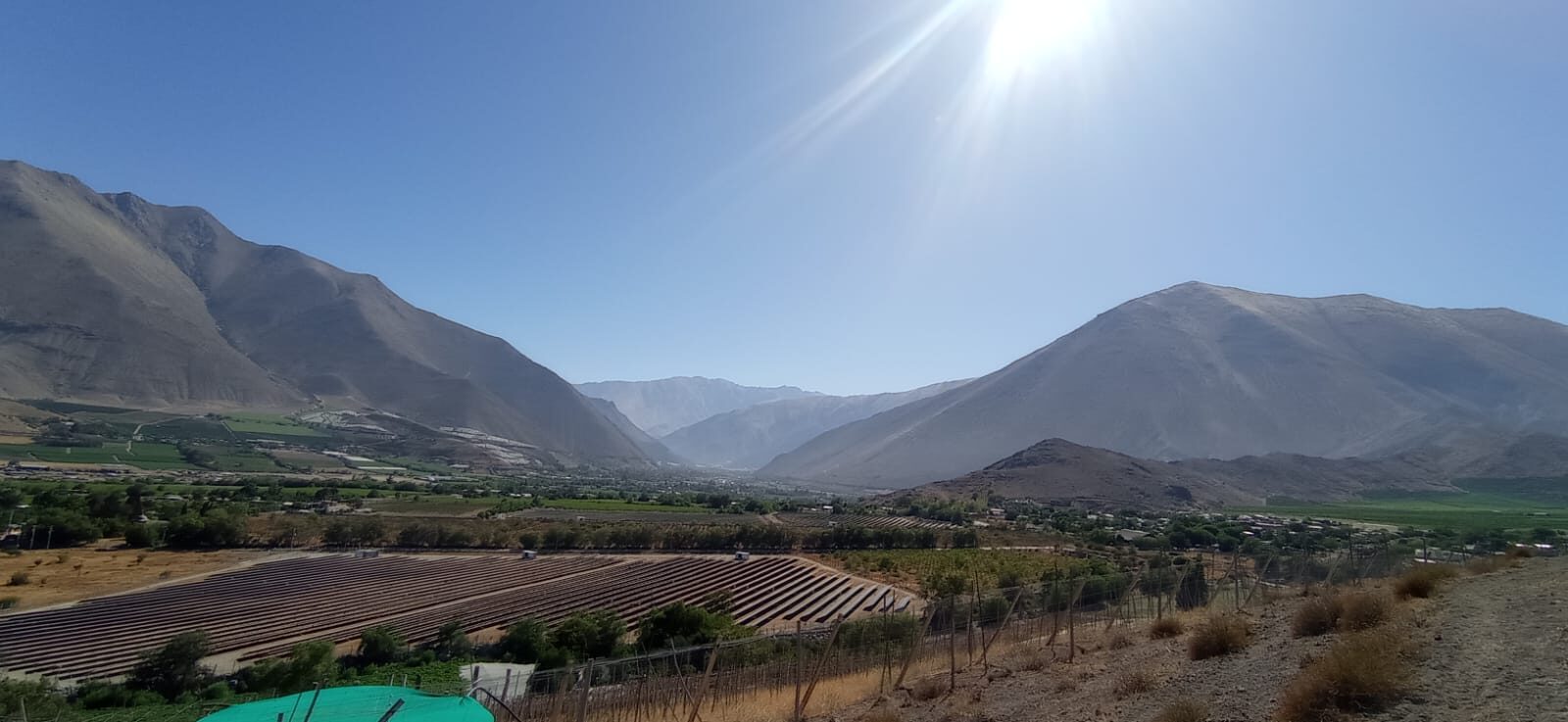 Panoramic view of the Elqui Valley from the mountain trail, vineyards below and the Andes beyond