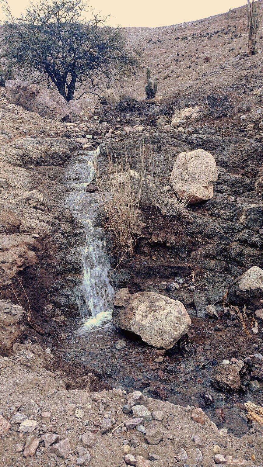 A natural spring emerging from the mountain rock