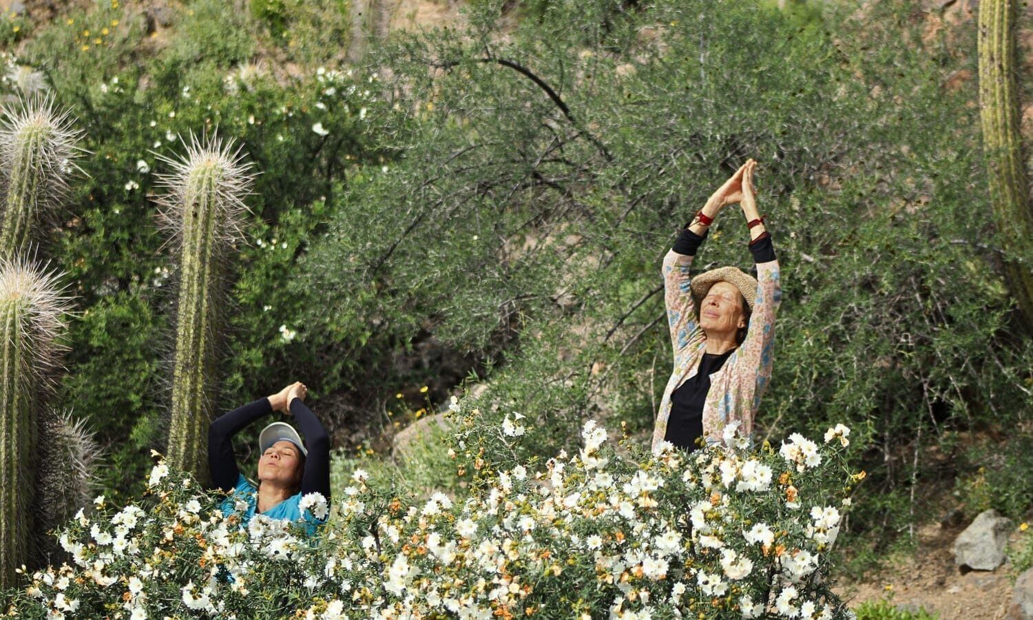 Two guests practicing mindful movement among wildflowers and cacti in the Elqui Valley